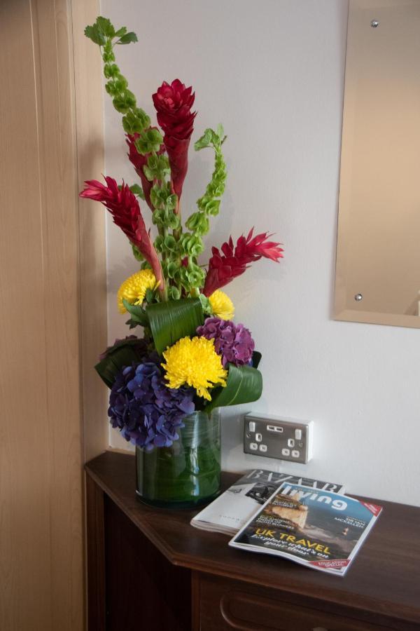 New Steine - Hotel Hove